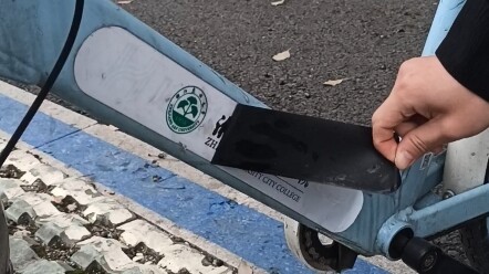 Zhejiang University City College ❌ | Zhejiang A&F University ☑️