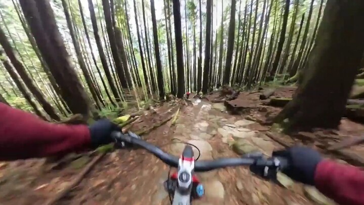 “วิธีที่ดีที่สุดในการคลายความวิตกกังวลคือออกไปสัมผัสธรรมชาติ”