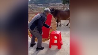 xuhuongtiktok❤️🙆‍♀️ xuhuong tiktok hàihướcvuinhộn haihuoc cườikhôngnhặtđượcmồm cuoibebung