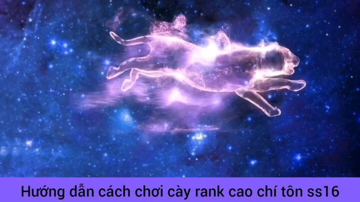 hướng dẫn cách chơi cày rank cao Chí Tôn