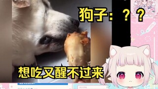 日本萝莉看《狗子：怎么回事 肉压床了？》直接绷不住