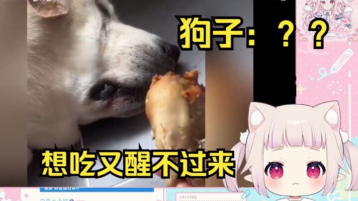 日本萝莉看《狗子：怎么回事 肉压床了？》直接绷不住
