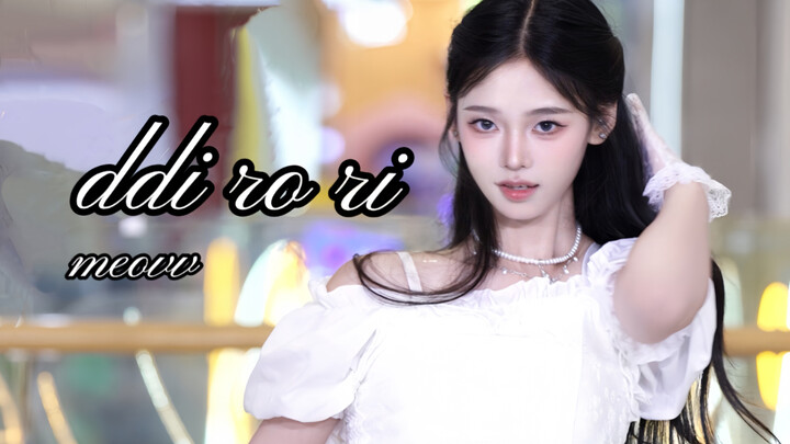 เพลงแมวสุดแสนศักดิ์สิทธิ์｜ddi ro ri-meovv