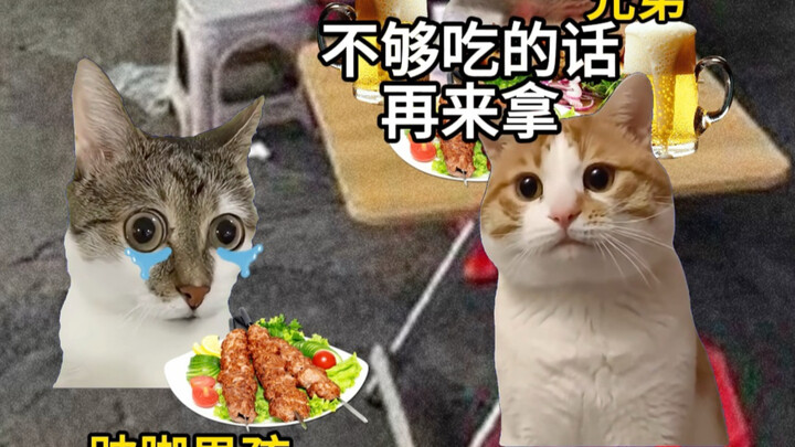 A Ray of Light in the Darkness #CatMeme #Heartwarming & Touching