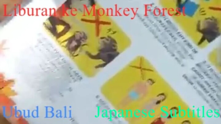 Liburan ke Monkey Forest,Ubud Bali (Japanese burn in subtitles) 720p version
