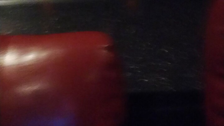 #102506 Vegas 4.0  6