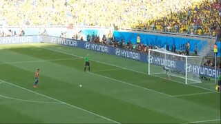 julio cesar copa 2014