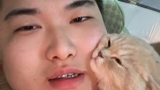 各位义父出出主意