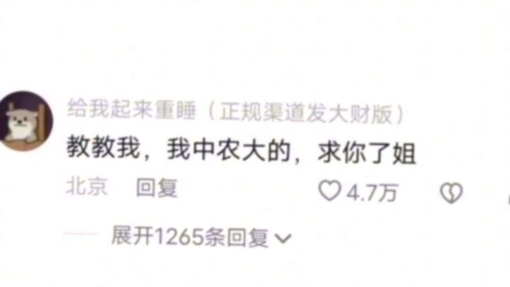 Đất đen Đông Bắc đúng là đỉnh, không cần đất cũng mọc um tùm #ĐôngBắc #DưaCảiChua #NghiênCứuHọcThuật