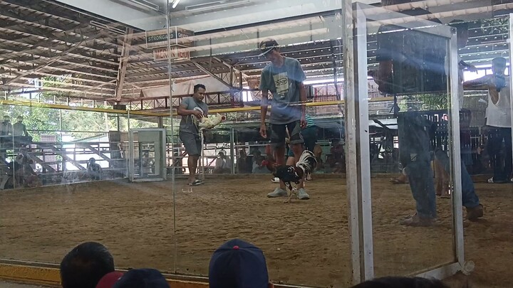 first fight