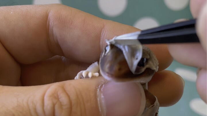 A Mask for When You’re Pissed Off!