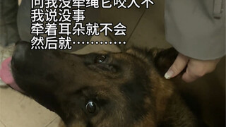 German Shepherd: Should I bite or not bite?