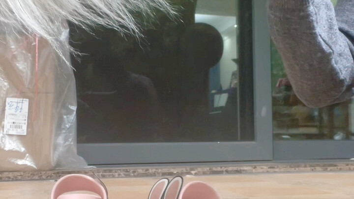 I thought the floor was too slippery, but Bella said it was because the hair was too long.