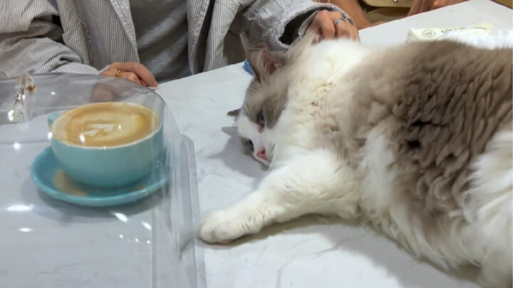 Tech Transforms Life