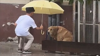 金毛：这世上哪有什么坏人！