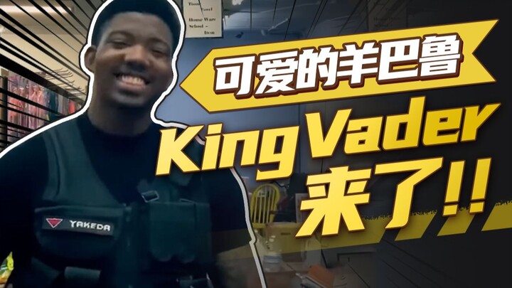 可爱的羊巴鲁 King Vader来了！