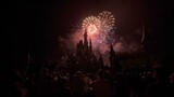 Special Cast Only Version of Magic Kingdom Fireworks