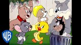 Tom & Jerry | Everyone But Tom & Jerry | Classic Cartoon Compilation | @WB Kids