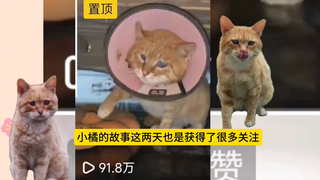 Saya akan memberikan balasan yang seragam untuk komentar-komentar. Saya tidak akan membalas satu per