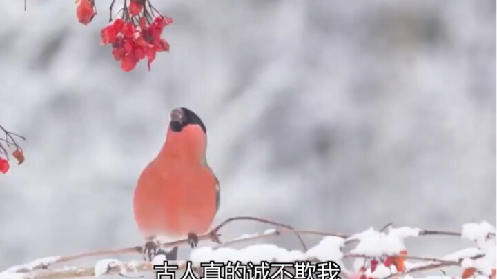 Turns out the ancients were right all along—what they said really isn’t a lie!