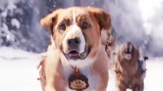 "Dog: shout hammer, the avalanche makes you shout!"