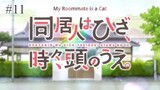 My Roommate Is a Cat ep.11