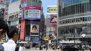 日本旅行用柯南的这个bgm，总感觉下一秒要出事