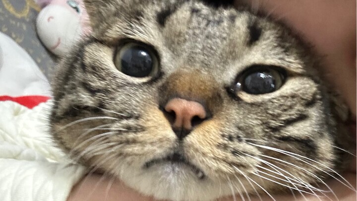 Don't destroy my account!!!