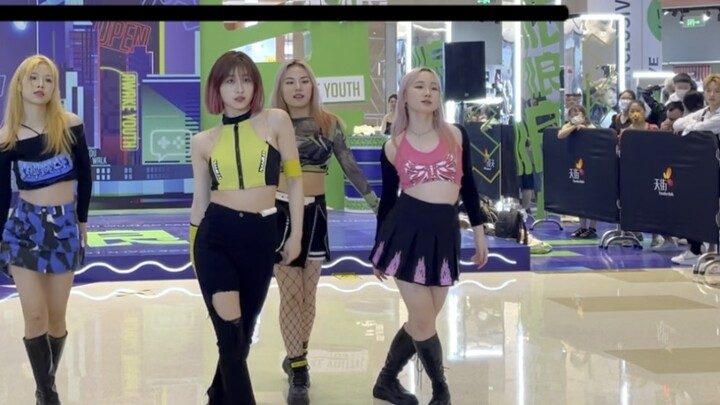 【aespa】 Combo gội đầu, cắt và sấy tóc tại tiệm làm tóc đi xe buýt sớm để săn rắn ở nơi hoang dã! Tra