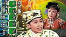 เบญจมาศสีเลือด七彩金葉菊【任劍輝/余麗珍】