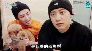 【EXO】เปิดเพลงใหม่อย่างกะทันหัน ไม่ทันตั้งตัวจริงๆ ไม่แปลกใจเลยที่ประธานบริษัทจะด่า