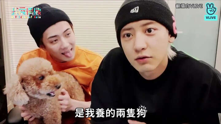 【EXO】เปิดเพลงใหม่อย่างกะทันหัน ไม่ทันตั้งตัวจริงๆ ไม่แปลกใจเลยที่ประธานบริษัทจะด่า