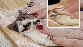 Cat meme food | Squished into a cat cookie, meow (Does it look like you at the start of the semester