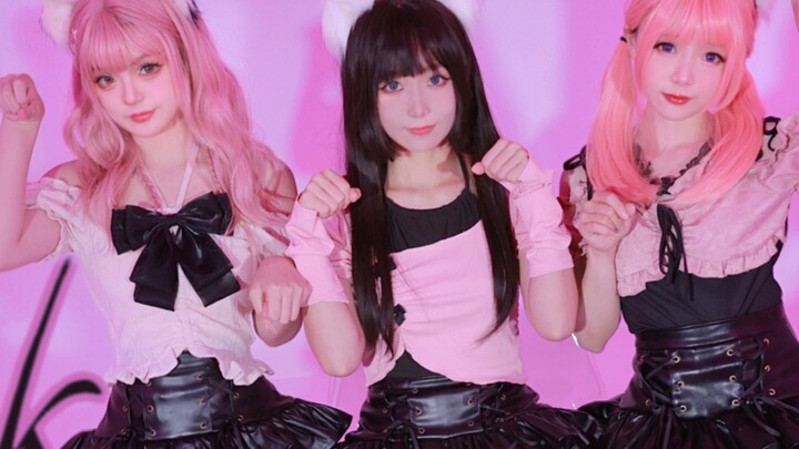 ❤️ Ding Dong ~ Your three cats have been delivered ❤️ PINK CAT [Fifteen days x Cat Snow x Wowotou]