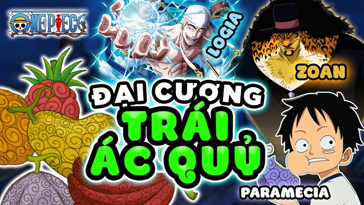 Toàn Tập Thông Tin Tổng Quát Bạn Nến Biết Về  Trái Ác Quỷ Trong Anime One Piece