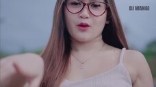 Dj Ngomong Apik Apik - Delia Salsabila Official Music Video (0)