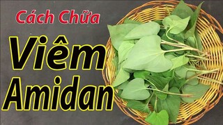 Cách chữa viêm amidan tại nhà hiệu quả cao nhất nhờ 1 nắm rau diếp cá ( mẹo chữa bệnh )