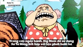 Top 7 Người Dùng Được 3 Loại Haki Trong One Piece #19- 9