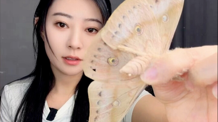 Con bướm nhỏ của chúng ta
