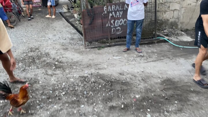 My 6 Months Old Throwback vs My 9 Months old Blue Face