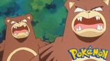 Pokémon Tập 157: Ringuma Đột Kích!! (Lồng Tiếng)