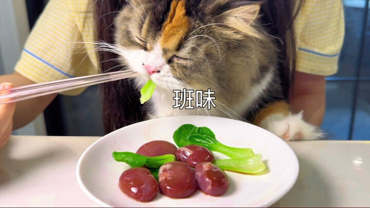 ไตกระต่ายและผักคะน้า (ฟังสบาย คลายเครียด ไพเราะ ฟังเพลิน ดูเพลิน!)