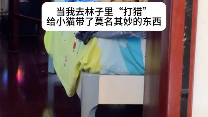 Xiao Mao, jembatan kecil telah mengalir masuk ke rumah saya