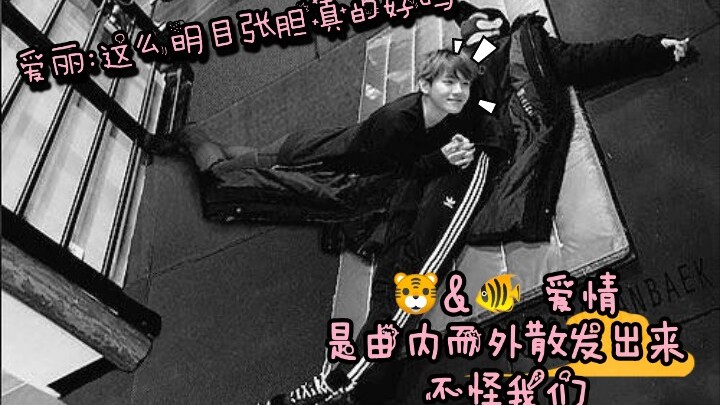 เขาที่เคยจีบไปทั่วทีม กลับมีเพียงกับเขาคนเดียวเท่านั้นที่หน้าแดงขึ้นมา “คุกกี้หวานๆ ของฉัน ชานไป๋”!!