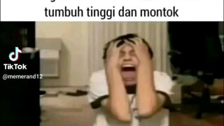 apa kah kamu lolicon