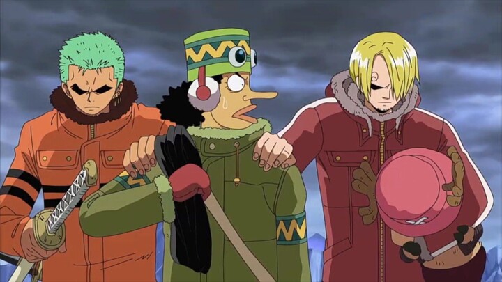 Zoro Sanji takut dikatain bodoh sama Luffy 😭🫵🏻
