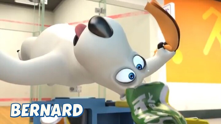 BERNARD BEAR || THE ACE PLAYER - CARTOON CHILDREN