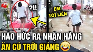 Tin 3 Phút Hài | Tổng hợp những tình huống hài hước 'KHÓ ĐỠ' khiến người ta 'DỞ KHÓC DỞ CƯỜI'