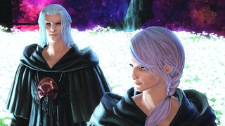 【FF14/有6.0】爱梅特赛尔克、希斯拉德【爱梅希斯】“我们本不该是这样的结局。”