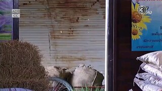 คุณชายติดหรู คุณหนูติดดิน EP.1  ตอนเเรก